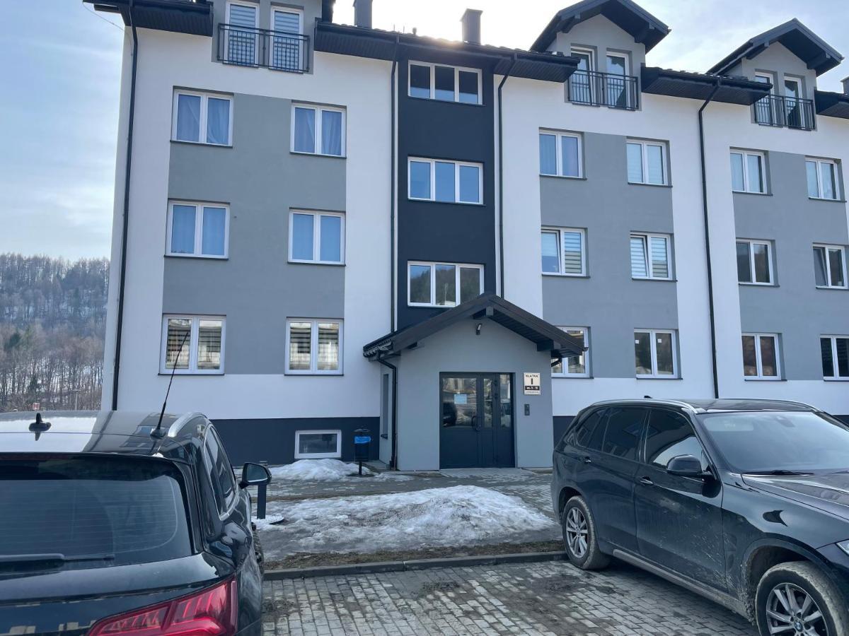 Apartament Modern Ustrzyki Dolne Exterior foto